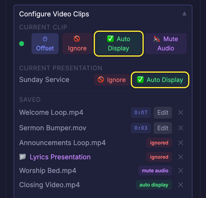 The panel in Selected only mode, showing Auto Display buttons for the current clip and presentation and an auto display entry in the Saved list